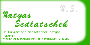 matyas sedlatschek business card