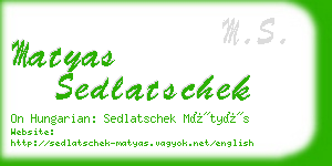 matyas sedlatschek business card